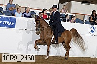 10r9_2460 proof