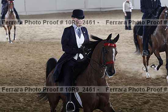 Proof 10r9_2461