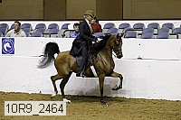 10r9_2464 proof