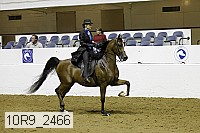 10r9_2466 proof