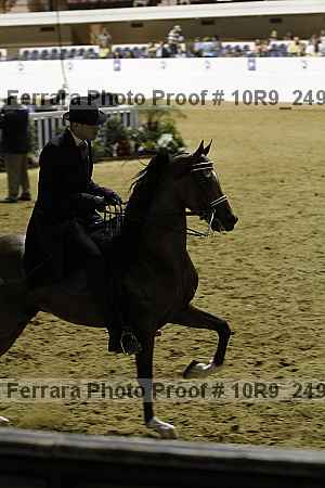 Proof 10r9_2491