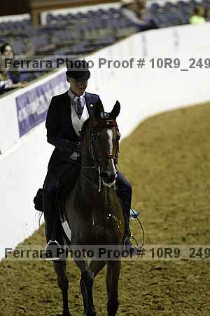 Proof 10r9_2495