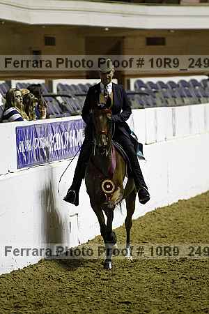 Proof 10r9_2499