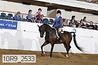 10r9_2533 proof
