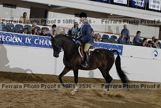 Proof 10r9_2536