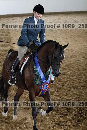 Proof 10r9_2564