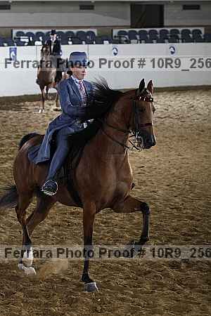 Proof 10r9_2569