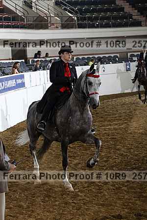 Proof 10r9_2577