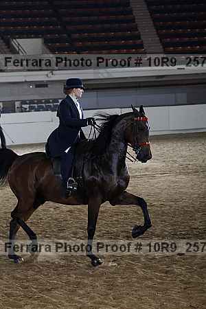 Proof 10r9_2579