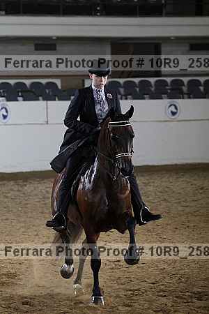 Proof 10r9_2581