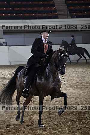 Proof 10r9_2582