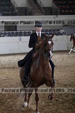 Proof 10r9_2587