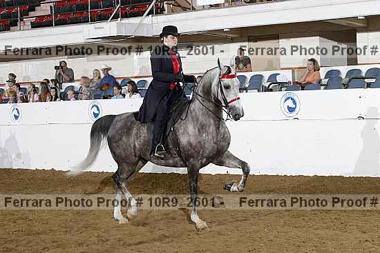 Proof 10r9_2601
