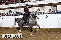 10r9_2601 proof