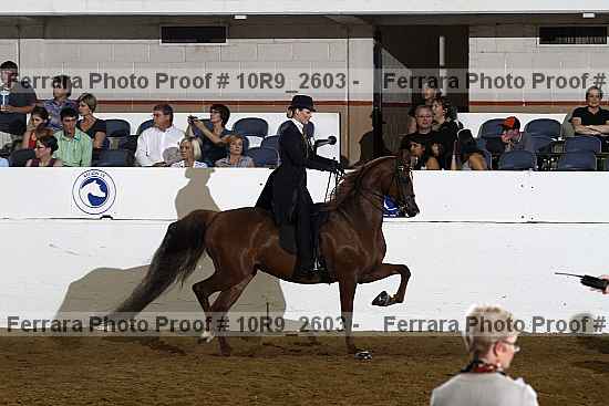 Proof 10r9_2603
