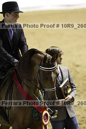 Proof 10r9_2608