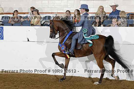 Proof 10r9_2612