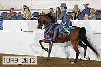 10r9_2612 proof