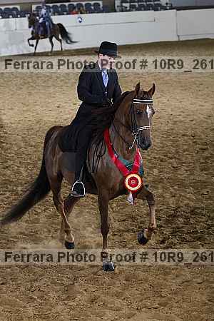 Proof 10r9_2619