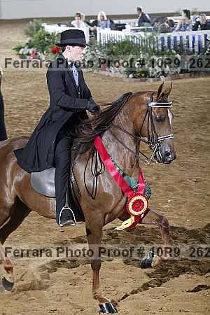 Proof 10r9_2620