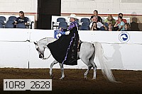 10r9_2628 proof