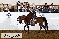 10r9_2637 proof