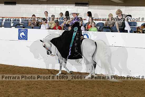 Proof 10r9_2666
