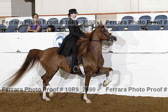 Proof 10r9_2690
