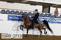 10r9_2713 proof
