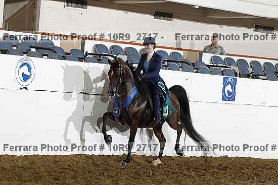 Proof 10r9_2717