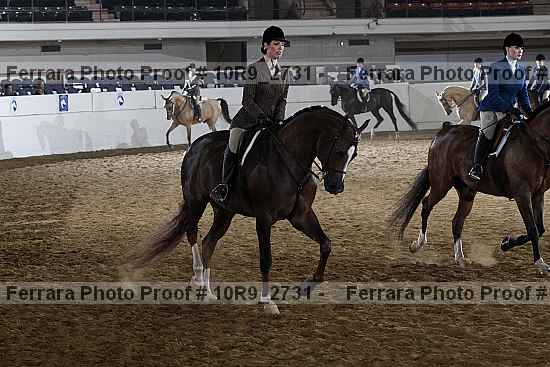 Proof 10r9_2731