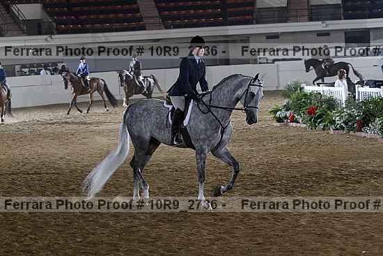 Proof 10r9_2736