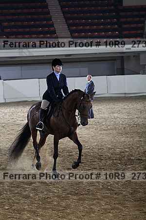 Proof 10r9_2737