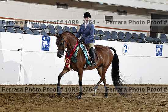 Proof 10r9_2764