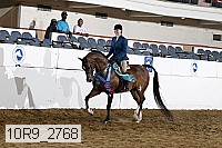 10r9_2768 proof