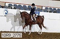 10r9_2775 proof