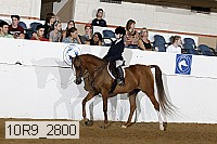 10r9_2800 proof