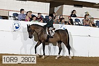 10r9_2802 proof