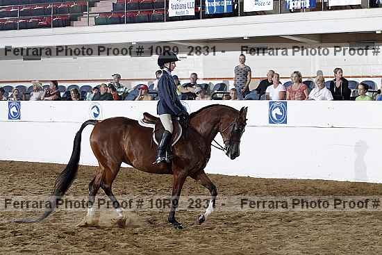 Proof 10r9_2831