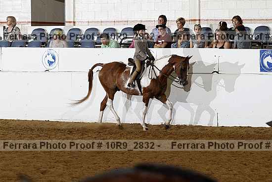 Proof 10r9_2832