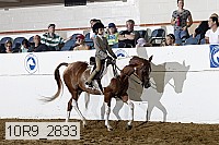 10r9_2833 proof