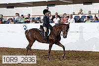 10r9_2836 proof