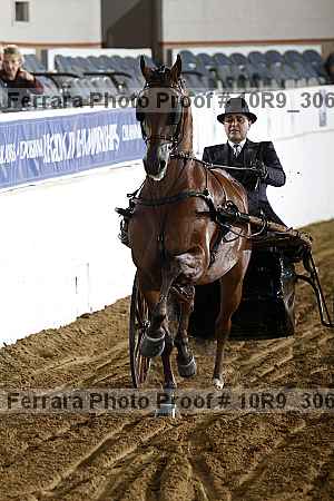 Proof 10r9_3061