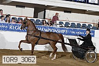 10r9_3062 proof