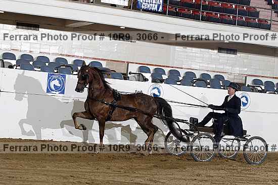 Proof 10r9_3066