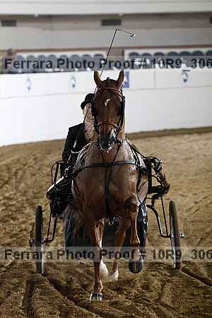 Proof 10r9_3068
