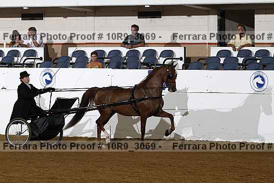 Proof 10r9_3069