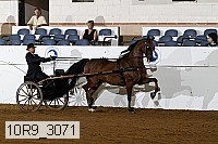 10r9_3071 proof