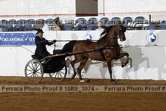 Proof 10r9_3074
