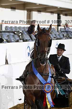 Proof 10r9_3077